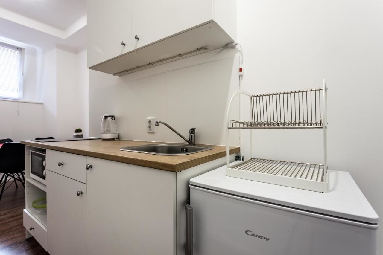 Апартаменты Modern apartment in Lviv historic center. Львов-18