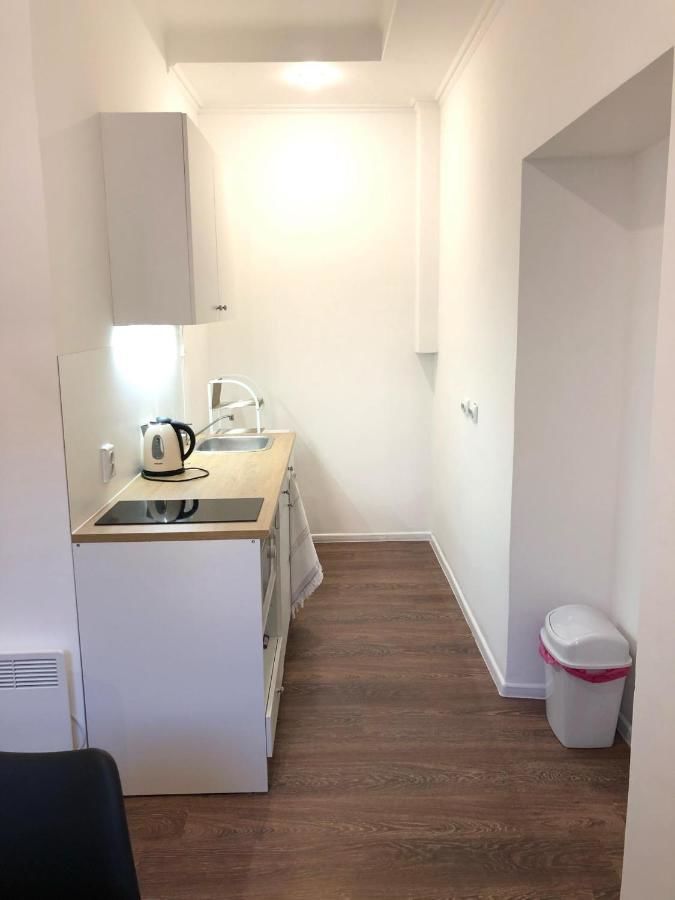 Апартаменты Modern apartment in Lviv historic center. Львов-19