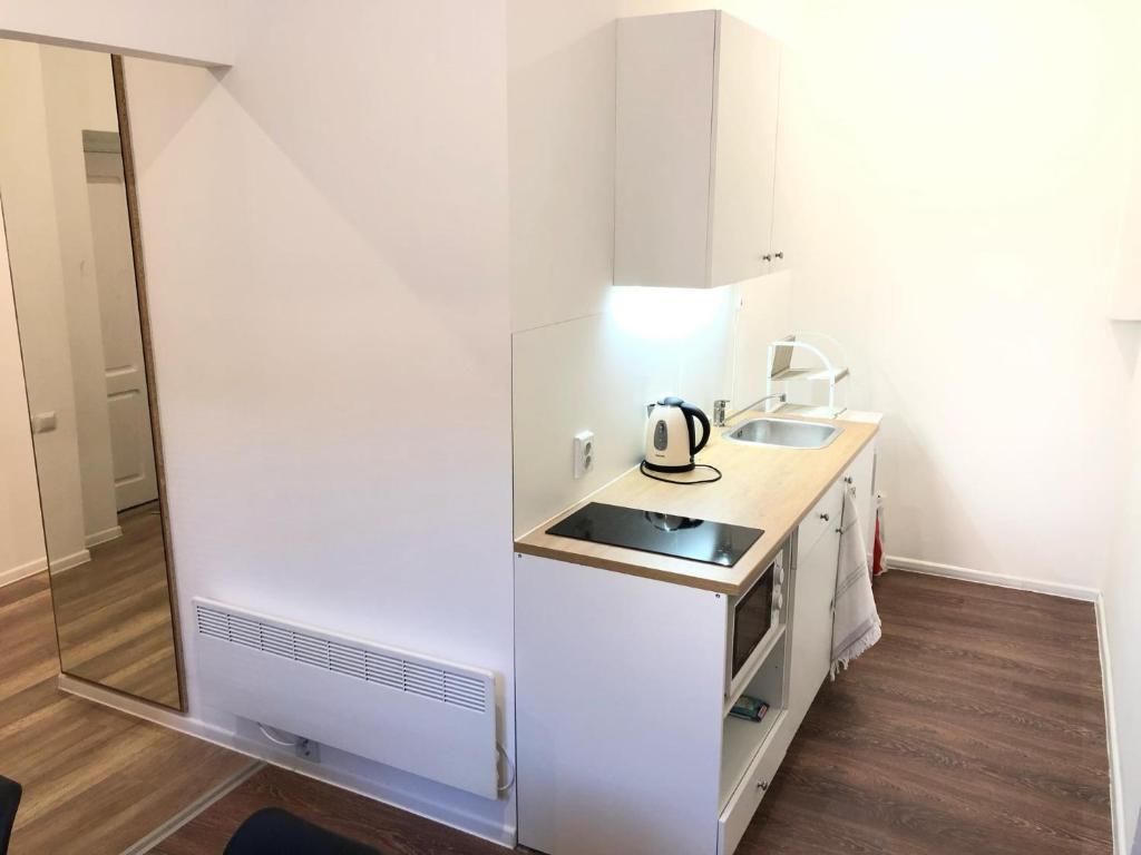 Апартаменты Modern apartment in Lviv historic center. Львов-40