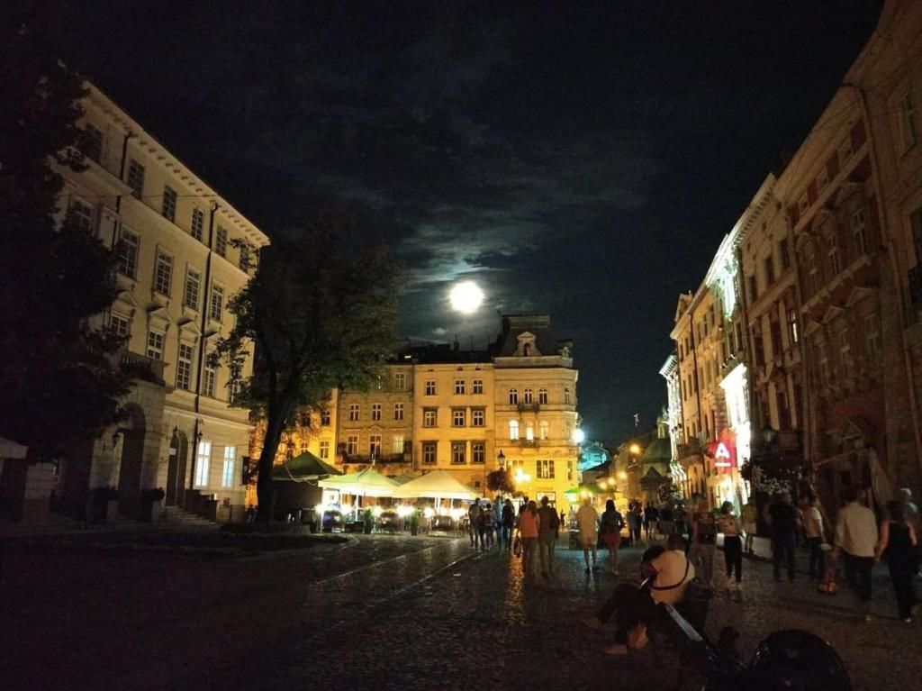 Апартаменты Modern apartment in Lviv historic center. Львов-48