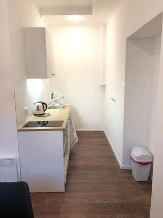 Апартаменты Modern apartment in Lviv historic center. Львов Апартаменты с 2 спальнями-16