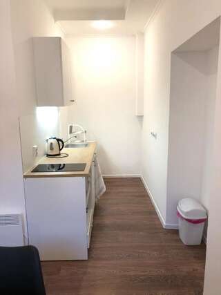 Апартаменты Modern apartment in Lviv historic center. Львов Апартаменты с 2 спальнями-43