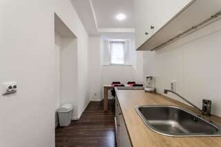 Апартаменты Modern apartment in Lviv historic center. Львов Апартаменты с 2 спальнями-65