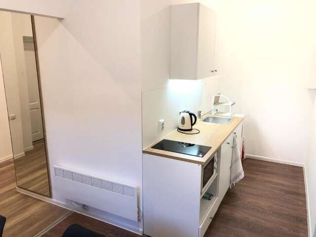 Апартаменты Modern apartment in Lviv historic center. Львов-14