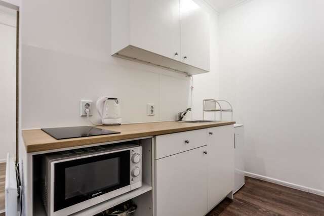 Апартаменты Modern apartment in Lviv historic center. Львов-16