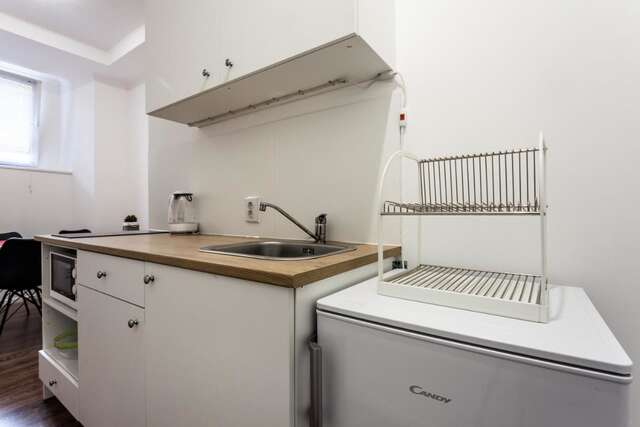 Апартаменты Modern apartment in Lviv historic center. Львов-17