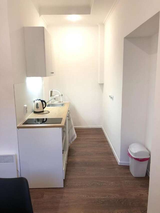 Апартаменты Modern apartment in Lviv historic center. Львов-18