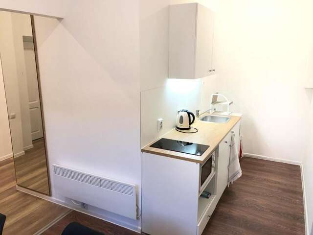 Апартаменты Modern apartment in Lviv historic center. Львов-39